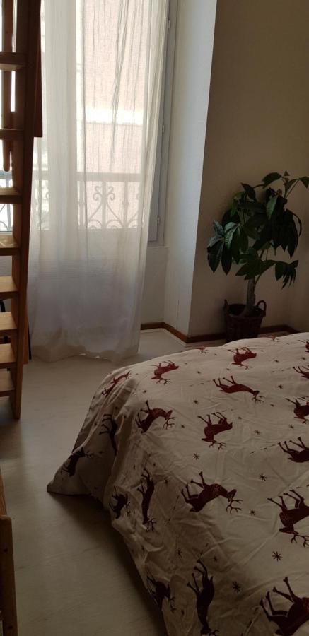Le Petit De Apartment Grenoble